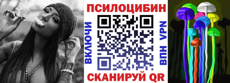ссылка на мегу сайт Челябинск Галлюциногенные грибы Psilocybine cubensis