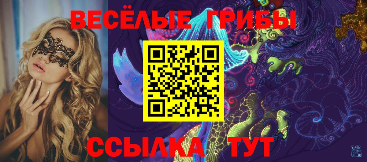Челябинск  Псилоцибиновые грибы ЛСД  Вход с VPN  Галлюциногенные грибы Psilocybe 