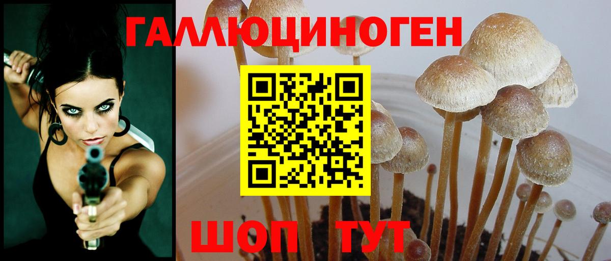 Псилоцибиновые грибы Psilocybe Челябинск